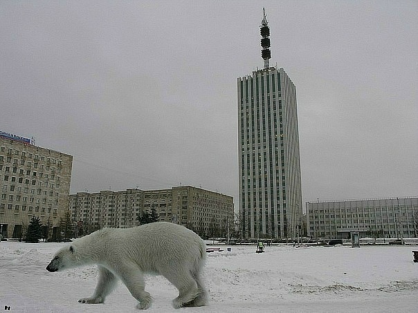 Архангельска туры тайланд петербурга