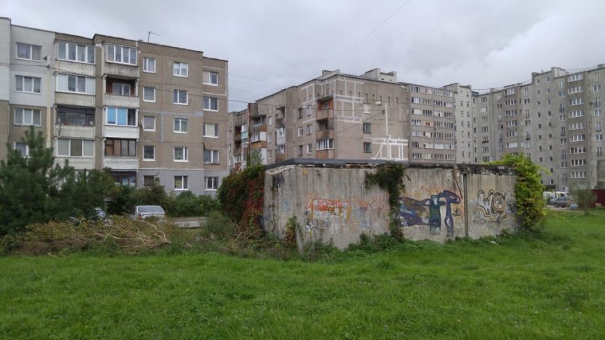 Сельма Сельма