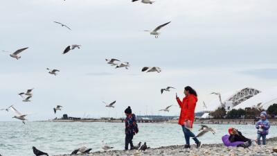 Про жизнь в Адлере. Зачем тебе отпуск? Ты и так на море живешь