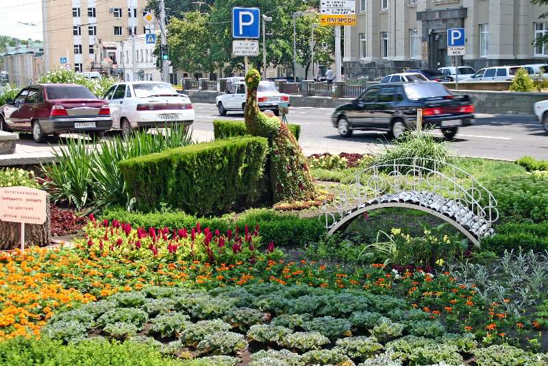 Ставрополь Фото Города
