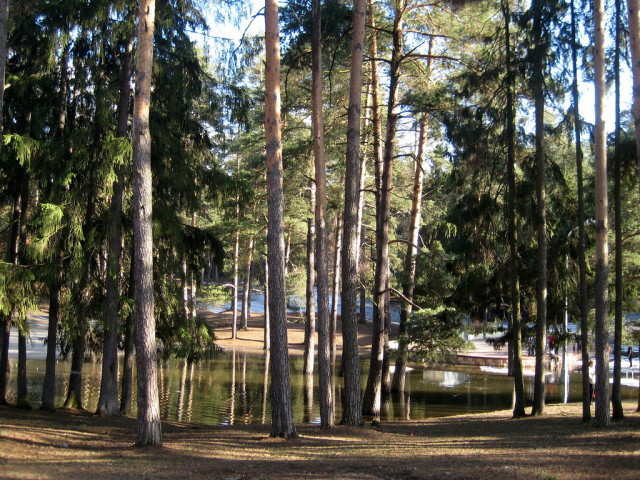 Парк культуры и отдыха в Жуковском