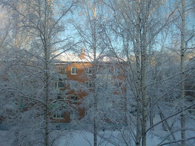 Зима в Березовке