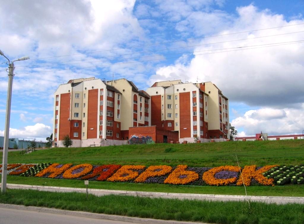 Город Ноябрьск: климат, экология, районы, экономика, криминал и  достопримечательности | Не сидится