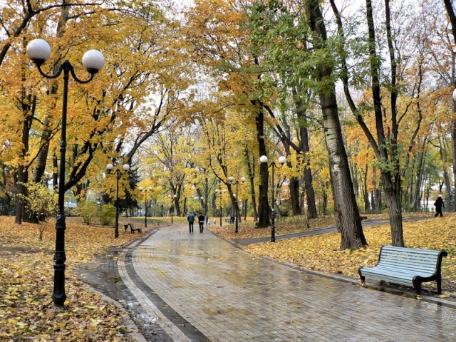 Центральный парк Киева