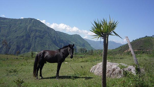 Пейзаж Колумбии