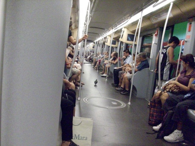 Незваный гость в вагоне миланского метро