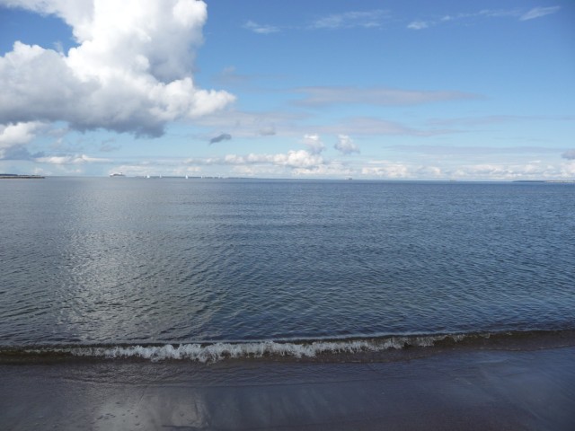 Берег Финского залива