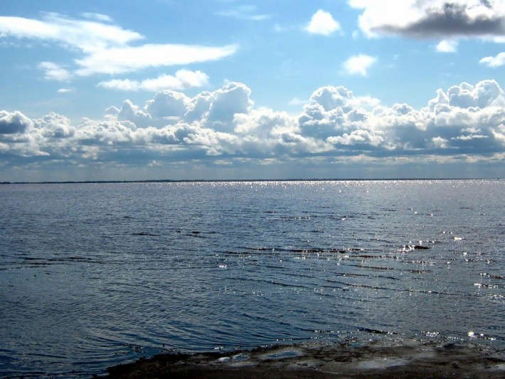 Кулундинское озеро