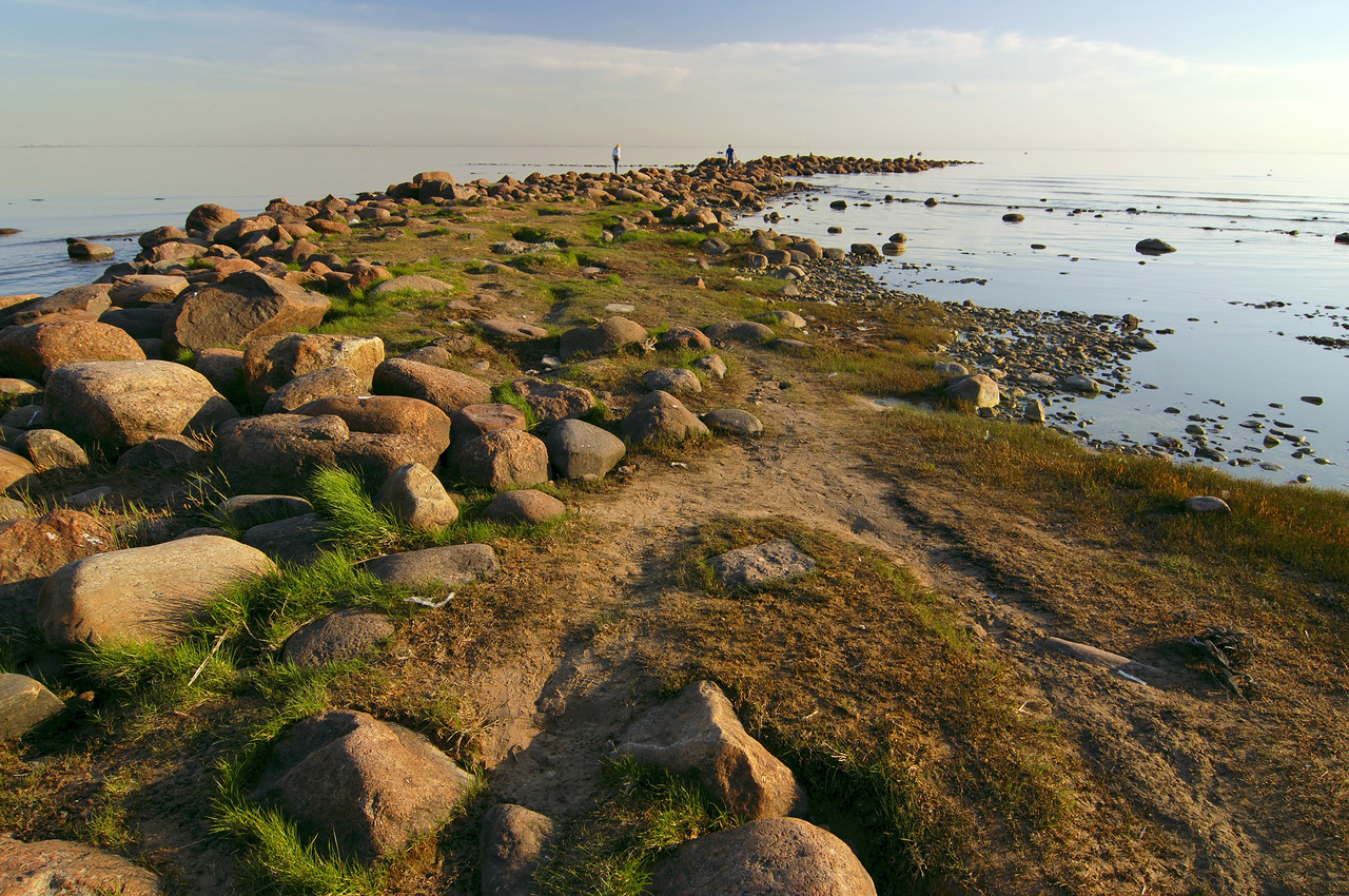 Пляжи финского залива в санкт петербурге фото