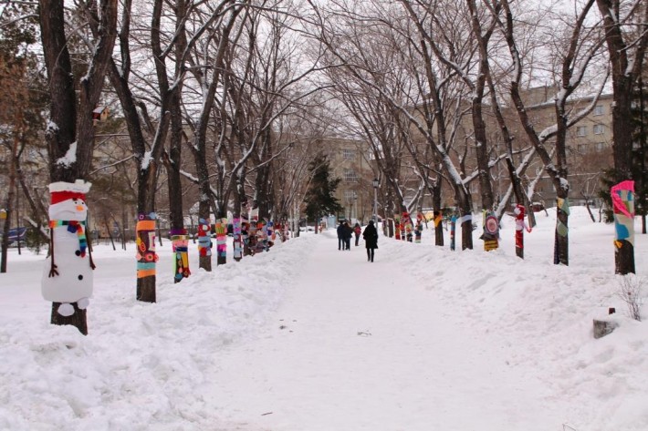 Жители города приняли участие в акции «Теплый сквер» и нарядили деревья в шарфы и варежки