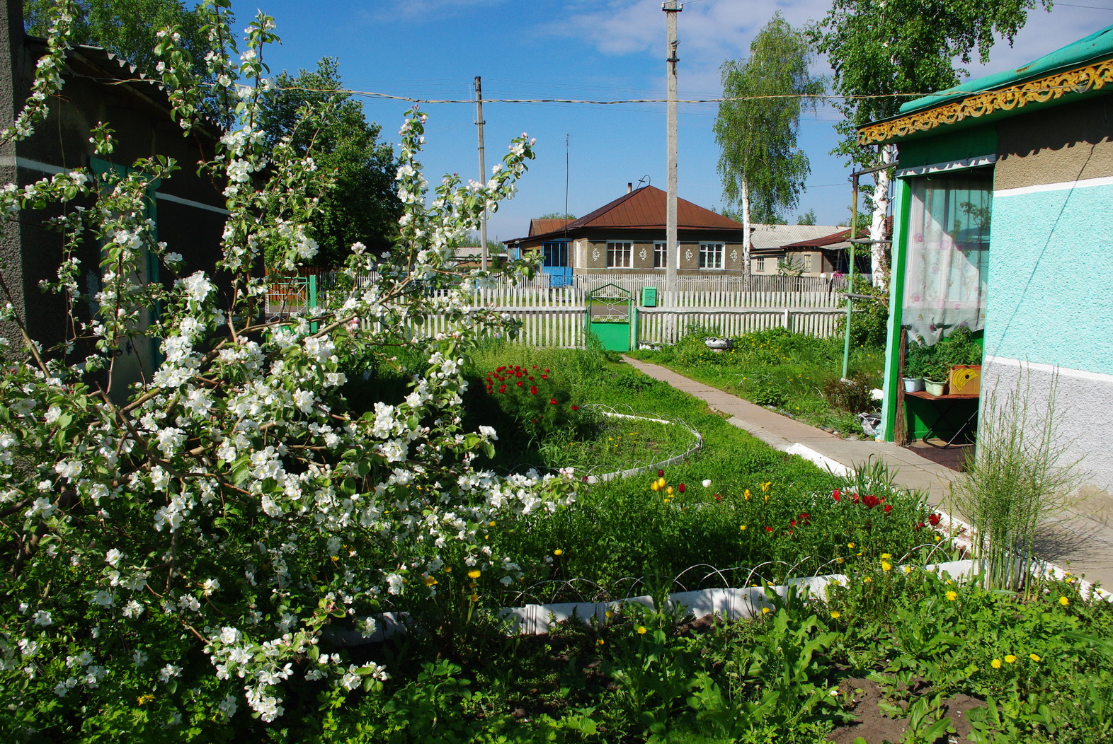 Алтайский Край Знакомства Деревня Село