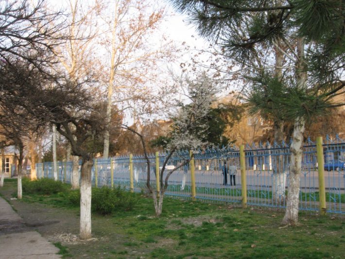 Март в Ташкенте