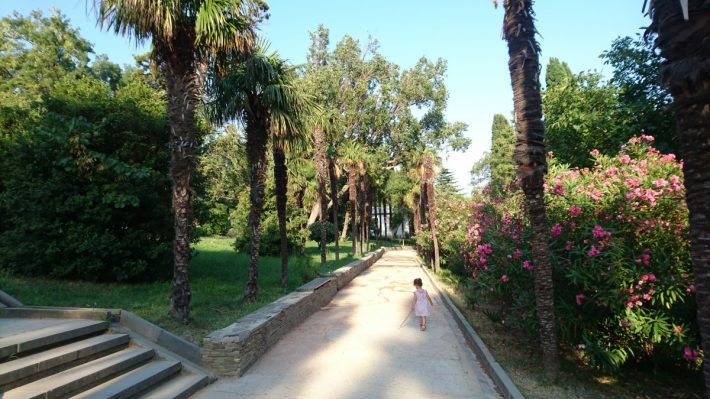Пальмовая аллея в Воронцовском парке