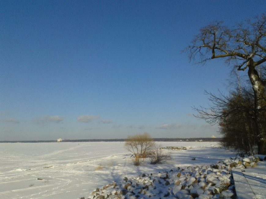 Финский залив у парка Дубки в Сестрорецке зимой