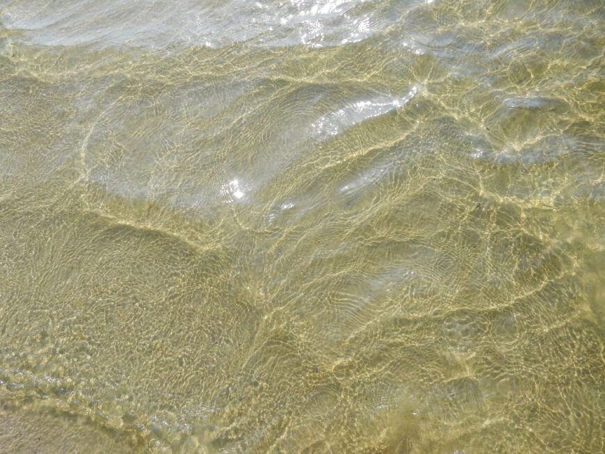Вода в Воронежском водохранилище на пляже «Пески». Сентябрь 2020 года