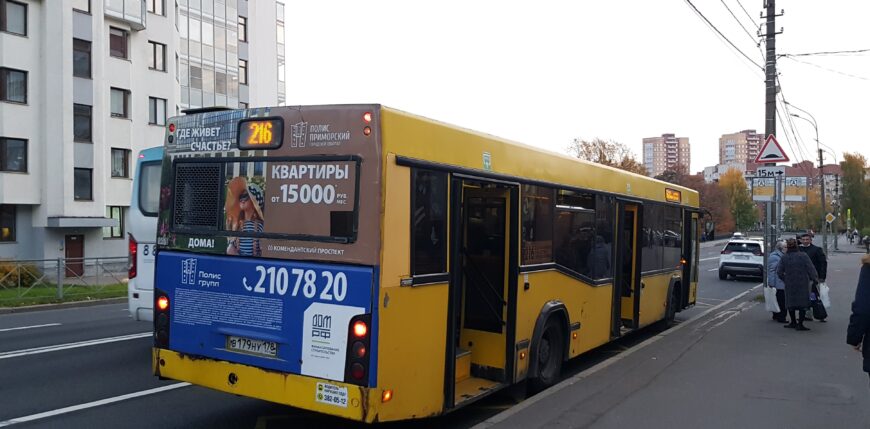 Так выглядят социальные автобусы 211 и 216, идут до Чёрной речки