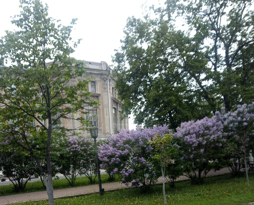 Старое здание на улице Гончарова в центре